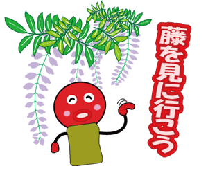 藤を見に行こう