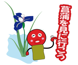 菖蒲を見に行こう
