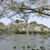 甘木公園（丸山公園）・桜