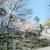 勝山公園（小倉城）