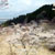 高森峠の千本桜