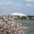 駕与丁公園