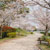 駕与丁公園