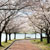 駕与丁公園