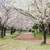 駕与丁公園