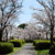 鹿島市 旭ヶ岡公園