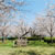 鹿島市 旭ヶ岡公園