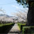 鹿島市 旭ヶ岡公園
