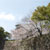 勝山公園（小倉城）