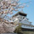 勝山公園（小倉城）