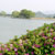 駕与丁公園
