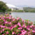 駕与丁公園