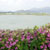 駕与丁公園
