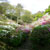 皿山公園