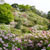 皿山公園