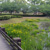 駕与丁公園