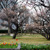 舞鶴公園