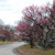 舞鶴公園