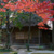 友泉亭公園・紅葉　提供：福岡市