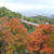 油山市民の森・紅葉　提供：福岡市