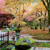 光明禅寺・紅葉