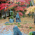 光明禅寺・紅葉