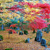 光明禅寺・紅葉