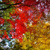 竈門神社・紅葉