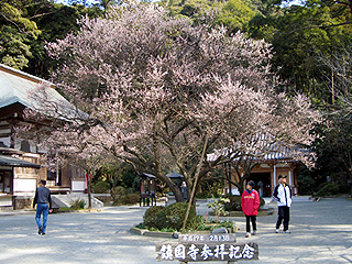 鎮国寺