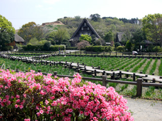 宮地嶽神社・民家村自然広苑