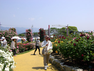 駕与丁公園 バラ園