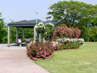 駕与丁公園
