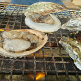かき焼き