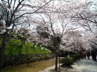 杉の馬場