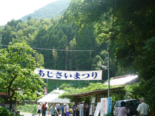見返りの滝 あじさいまつり