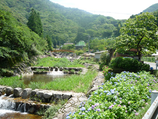見返りの滝