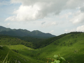 秋吉台